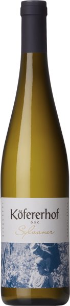 Sylvaner 2024 - 0.75l - Weingut Köfererhof