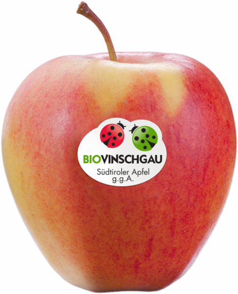 Cassetta di mele Pinova Bio - 2kg - Bio Äpfel aus dem Vinschgau - VI.P 