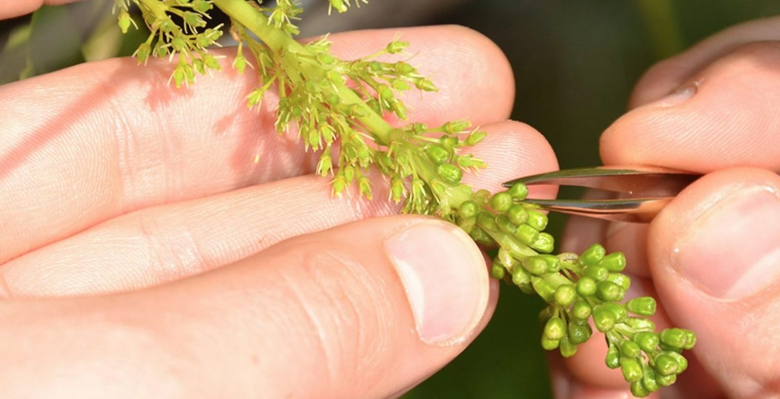 Thomas Niedermayr - Gandberg