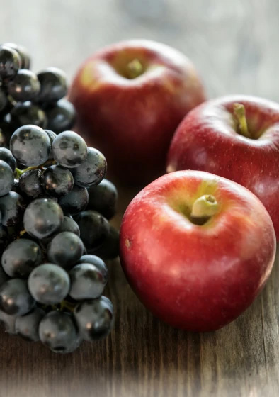 Weingut Griesbauerhof