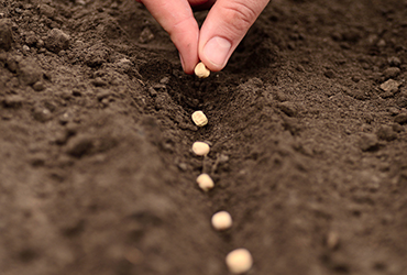 Vinterra Sozialgenossenschaft 